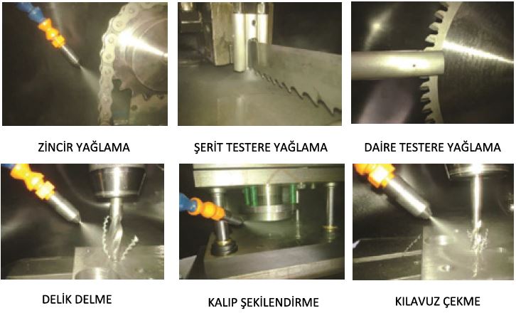 Örnek Metin